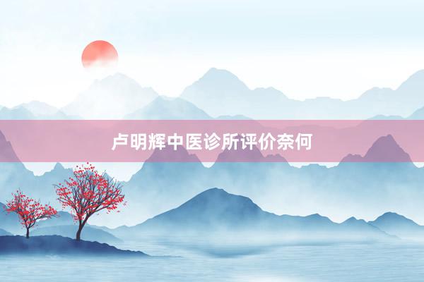卢明辉中医诊所评价奈何