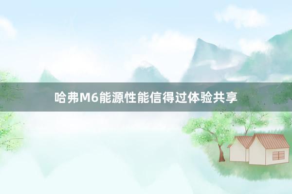 哈弗M6能源性能信得过体验共享